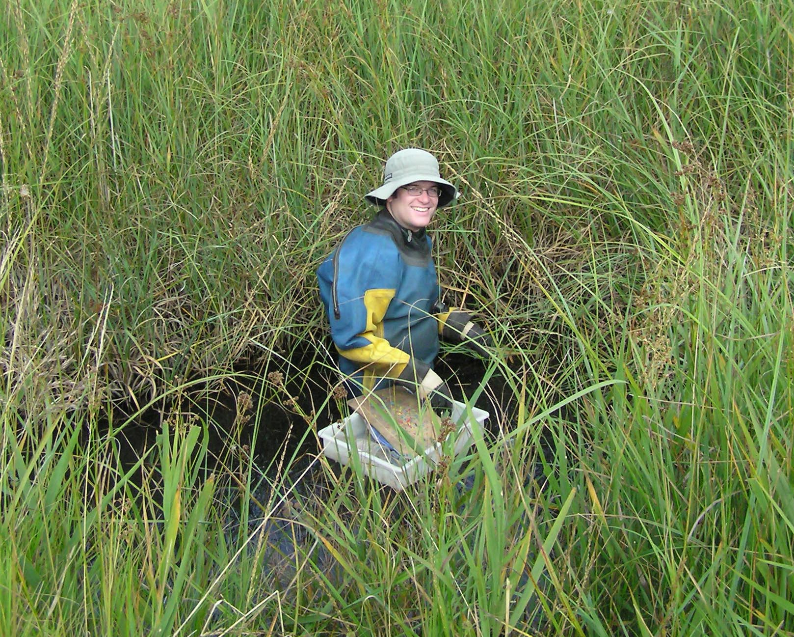 Phil Pearson studied the autecology of Fen Raft Spiders