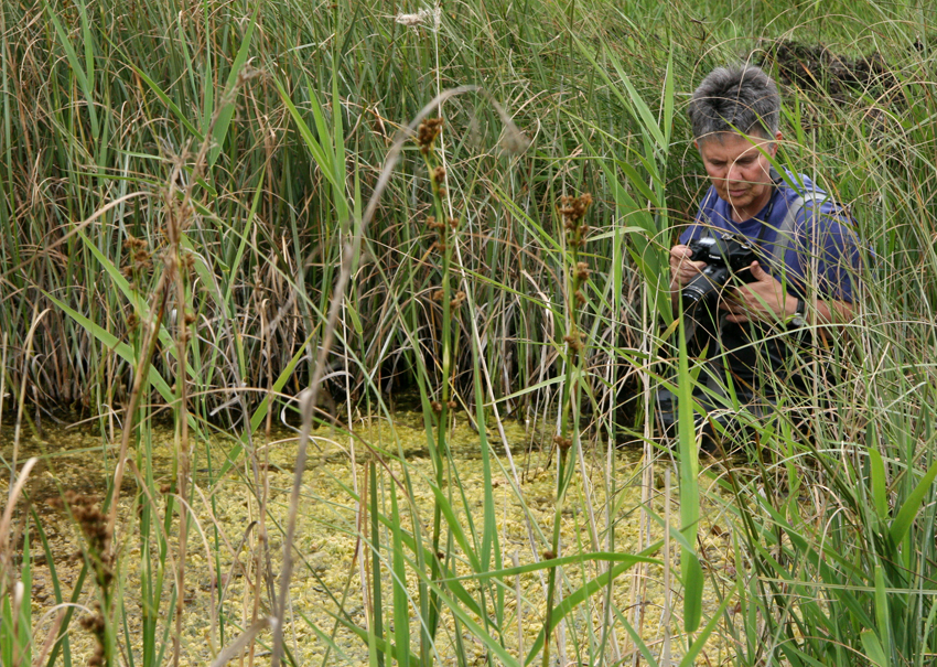 Artist in residence Sheila Tilmouth hunting for the perfect image