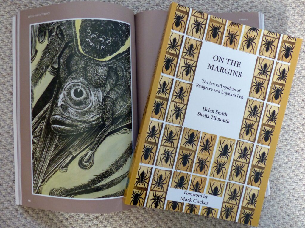 On the Margins by Helen Smith and Sheila Tilmouth